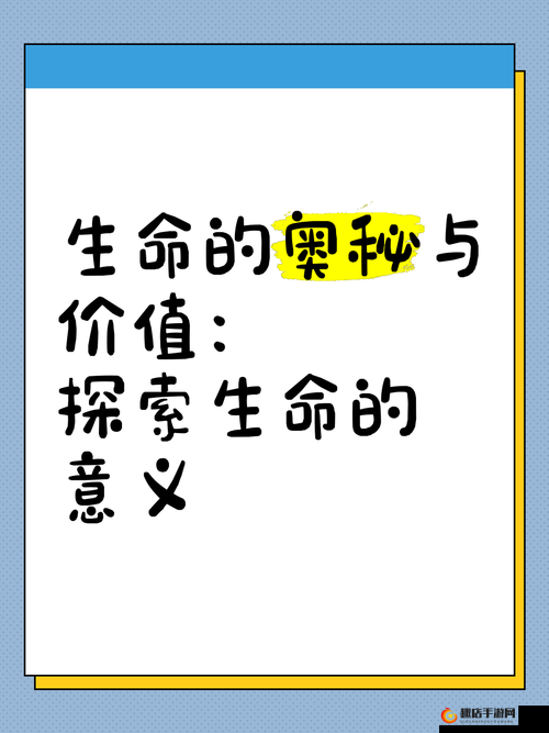 另一类ZOOM 与人性 ZOOM ：探索其背后的深层奥秘和价值意义